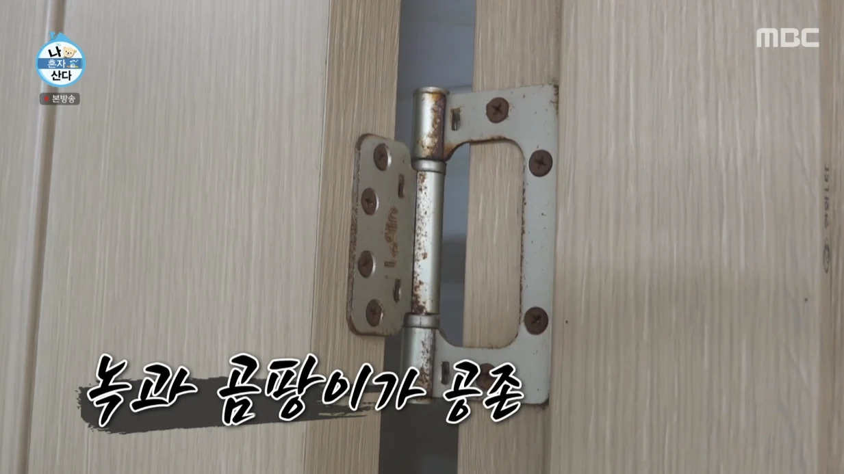 박경혜 나혼자산다 공식영상 일부 장면