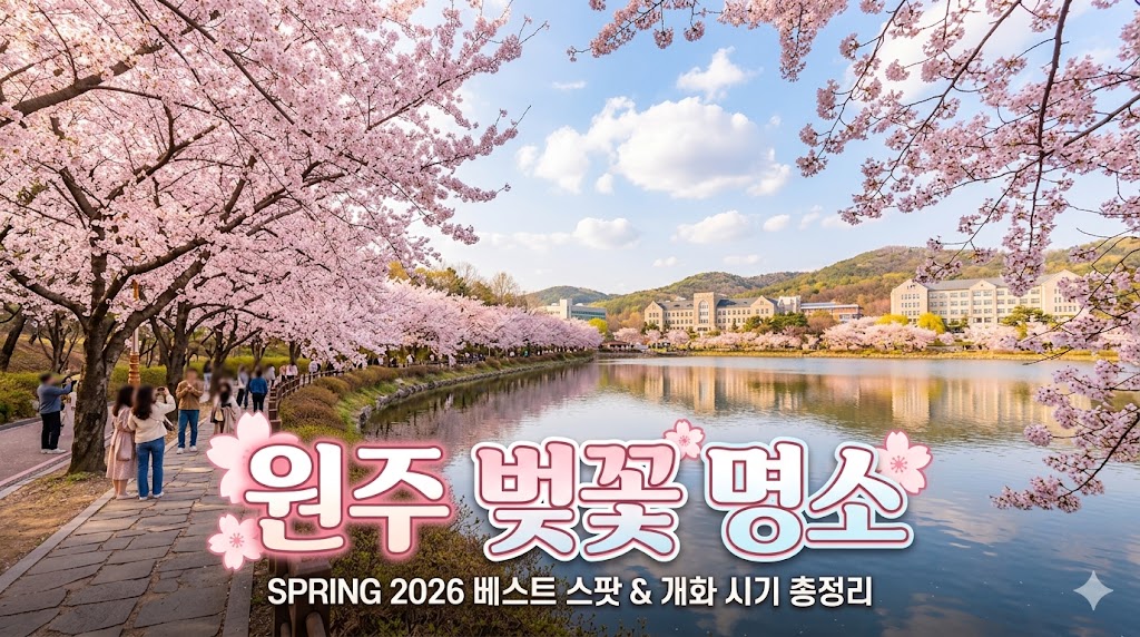 원주 벚꽃 명소