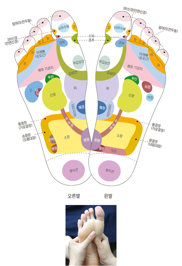 족욕기 효능 혈액순환 피로회복