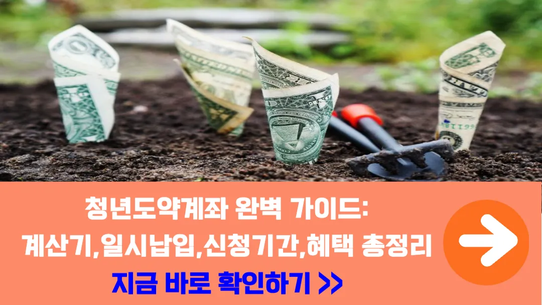 청년도약계좌-가이드-계산기-일시납입-신청기간-혜택-총정리