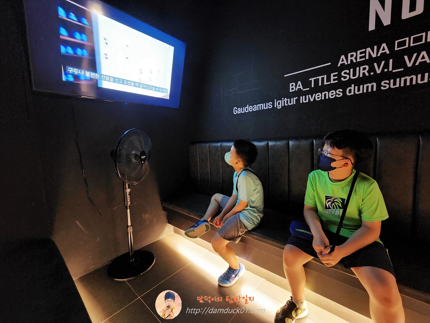 레이저엑스 이용 방법