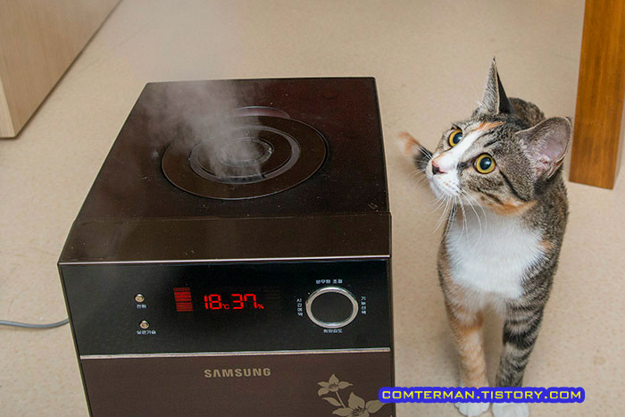 삼성전자 서비스 고장진단