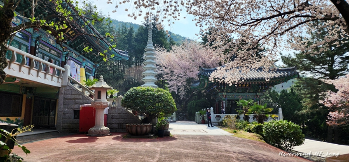 성불사 봄풍경