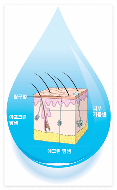 땀이-많이-나는-이유