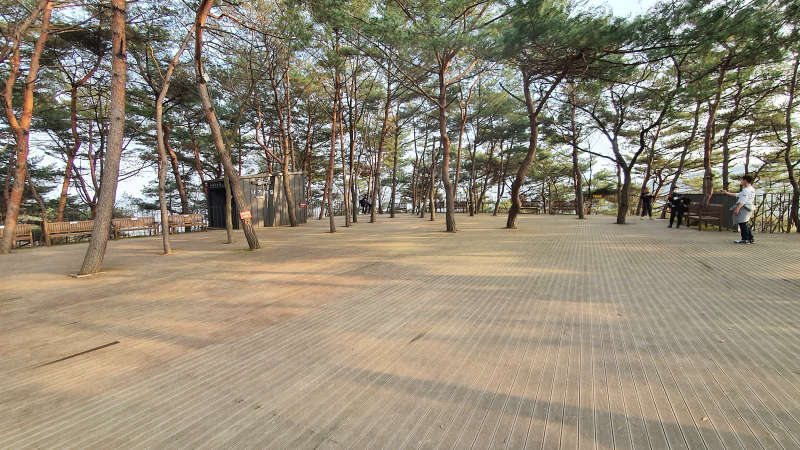 넓은 데크