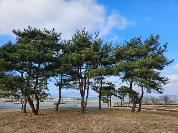 영종도 공원 풍경