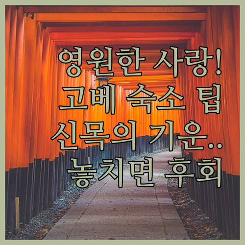 산노미야 이쿠타 신사 수호신 신목 기..