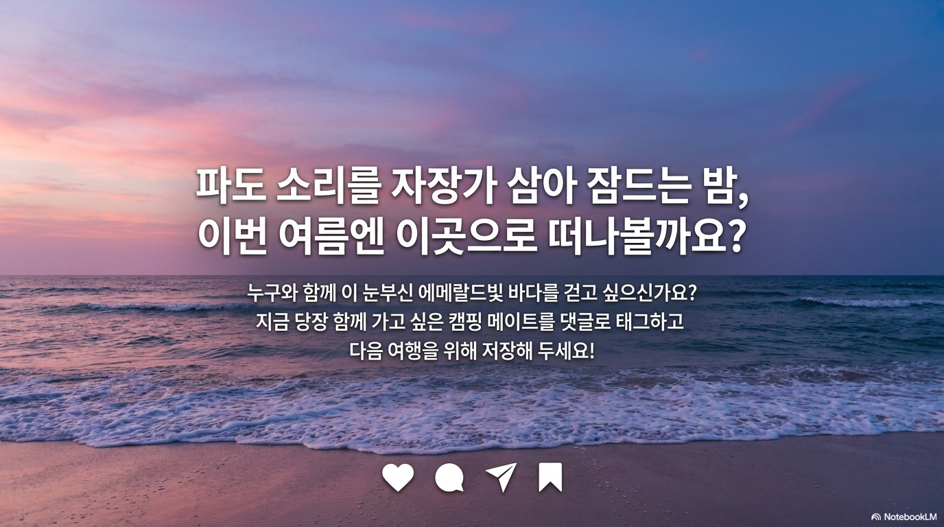 백도해변해서의 완벽한 하루