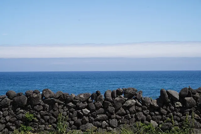 제주도 여름 여행 예산표 2박 3일 기준 경비 정리_9