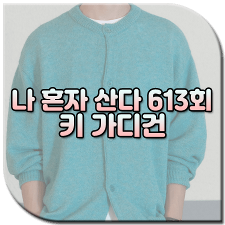 나 혼자 산다 613회 키 가디건