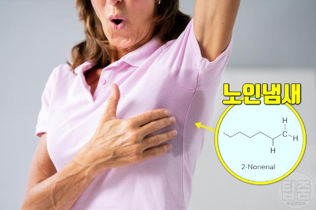 노인냄새 원인 제거 노네날