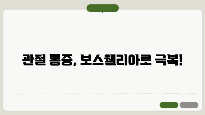 관절의 건강 증진을 위한 시너지 효과