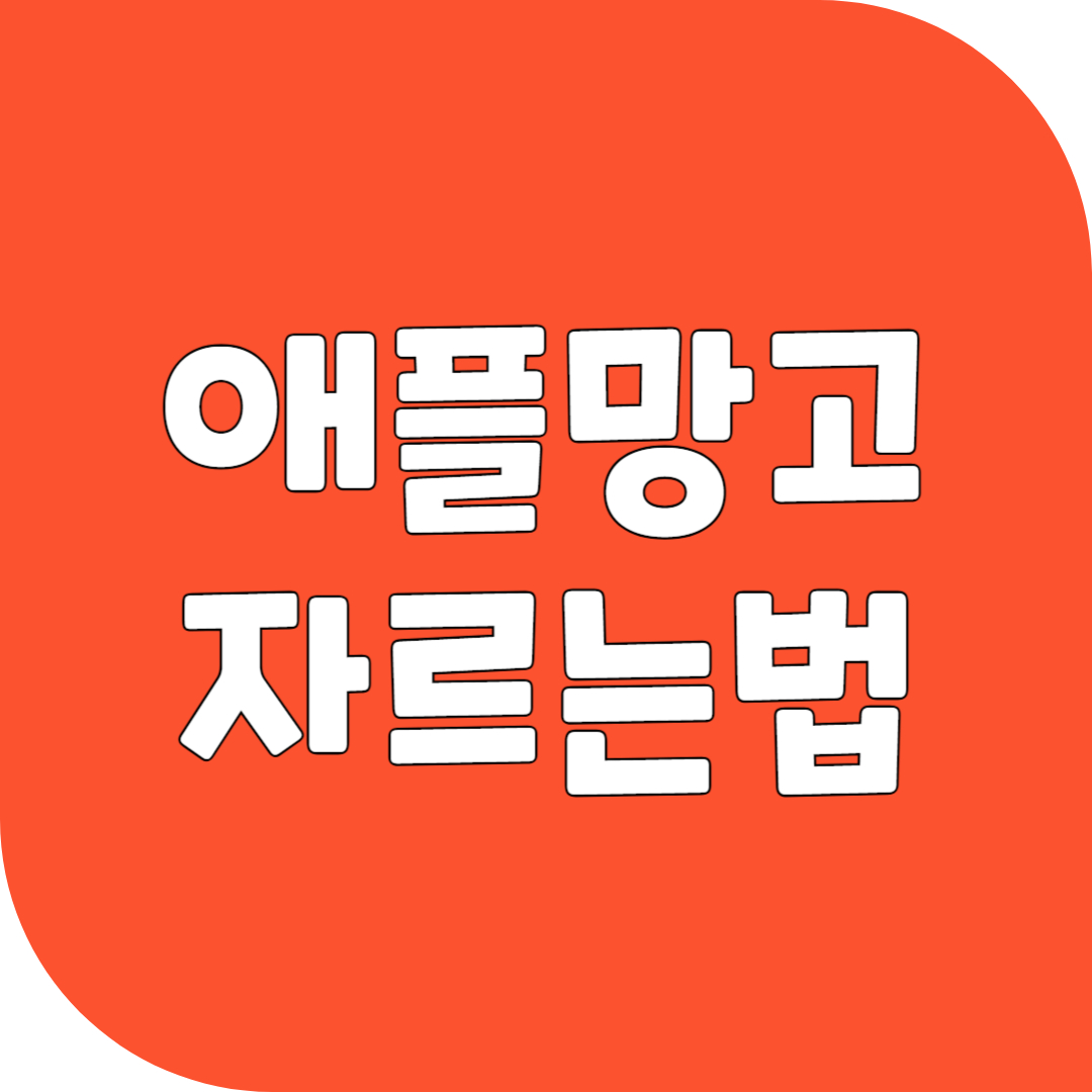 애플망고 자르는법