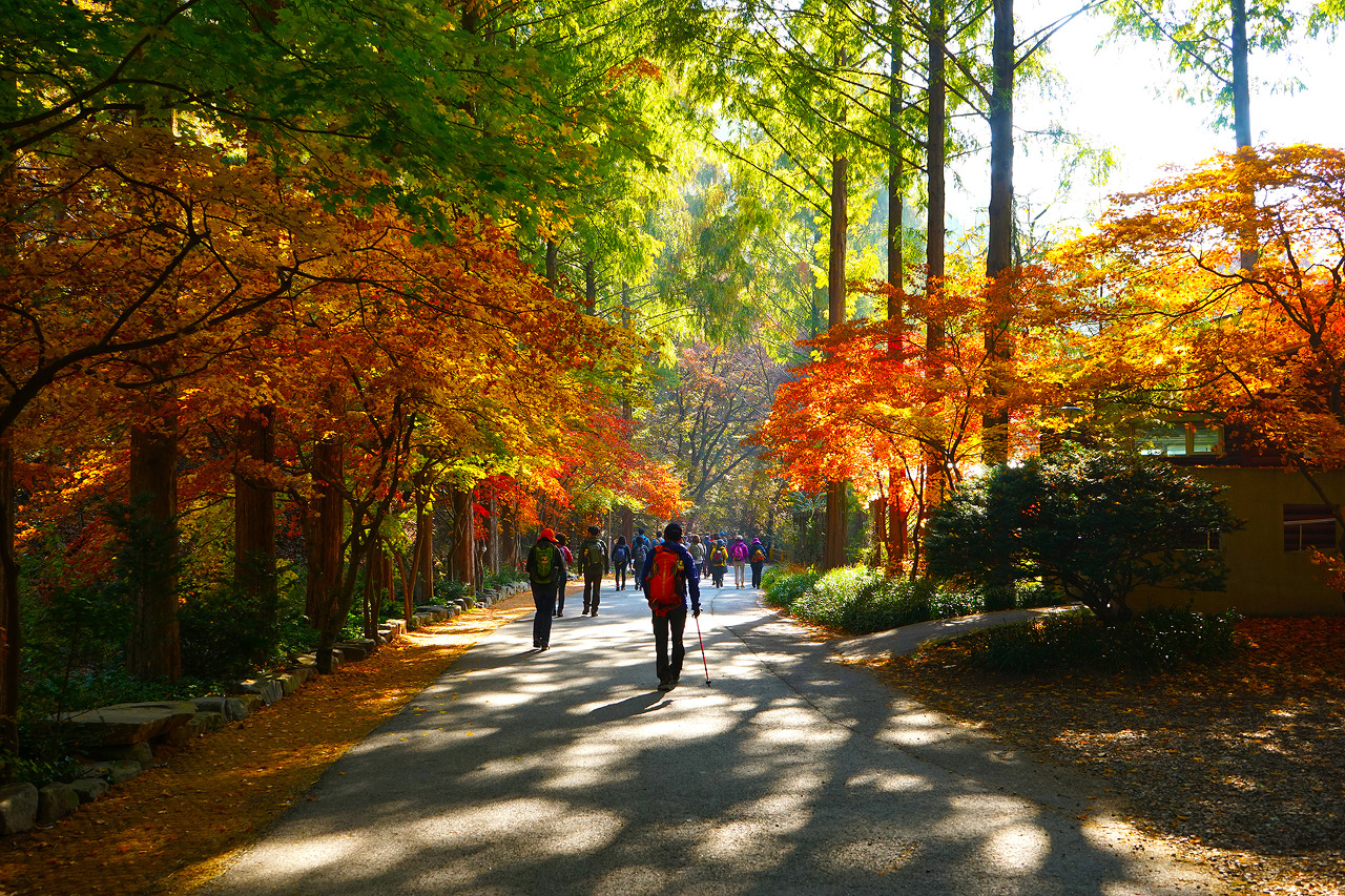 장태산 자연 휴양림2