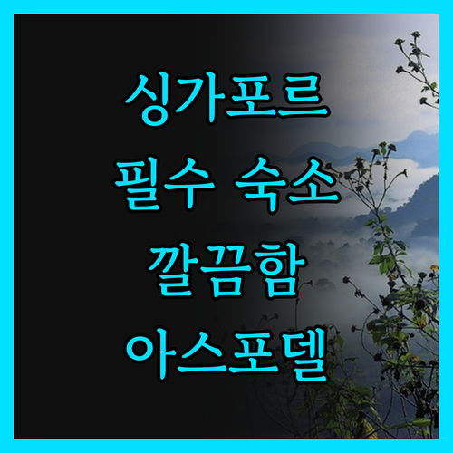 아스포델 인 싱가포르 여행객 필수 숙