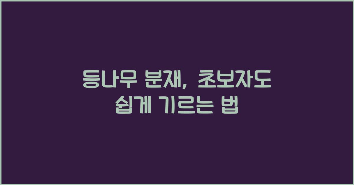 등나무 분재