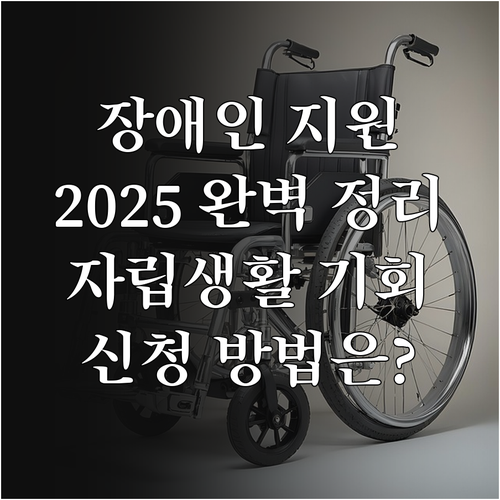 2025 장애인맞춤형지원사 총정리 자..