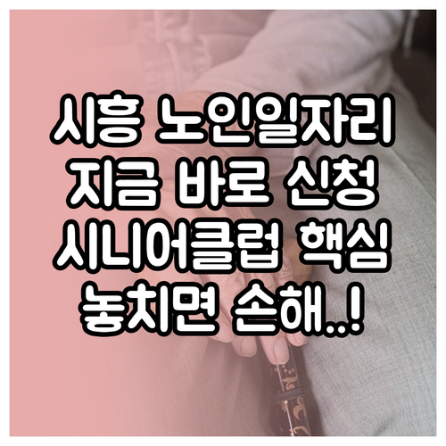 시흥시 노인일자리 신청 방법과 시니어..