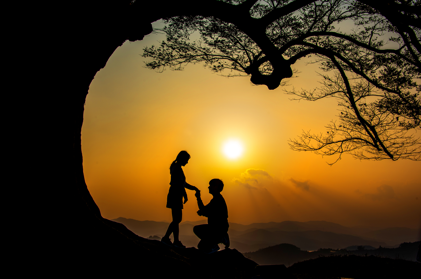 성흥산성 사랑나무 - SNS 핫플 포토존 연인들을 위한 로맨틱 스팟