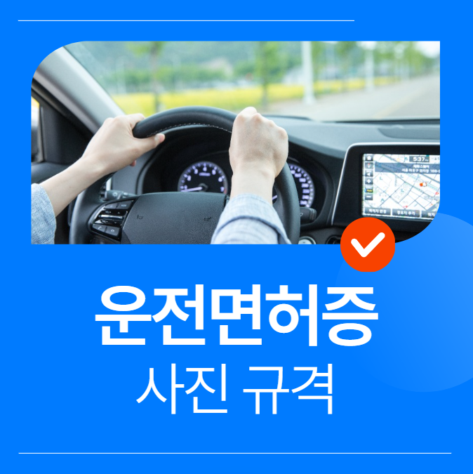 운전면허증 사진 규격, 여권처럼 귀, 눈썹 보여야 할까