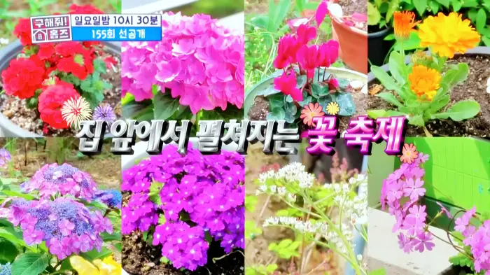 구해줘홈즈 서울 국제부부 광화문역 대중교통 40분 이내 매매 8억원대 정동원 지숙 외인구단 사당의베란다 용효삼방 아파트 정동당당 가양연화 사랑의북센타 소개