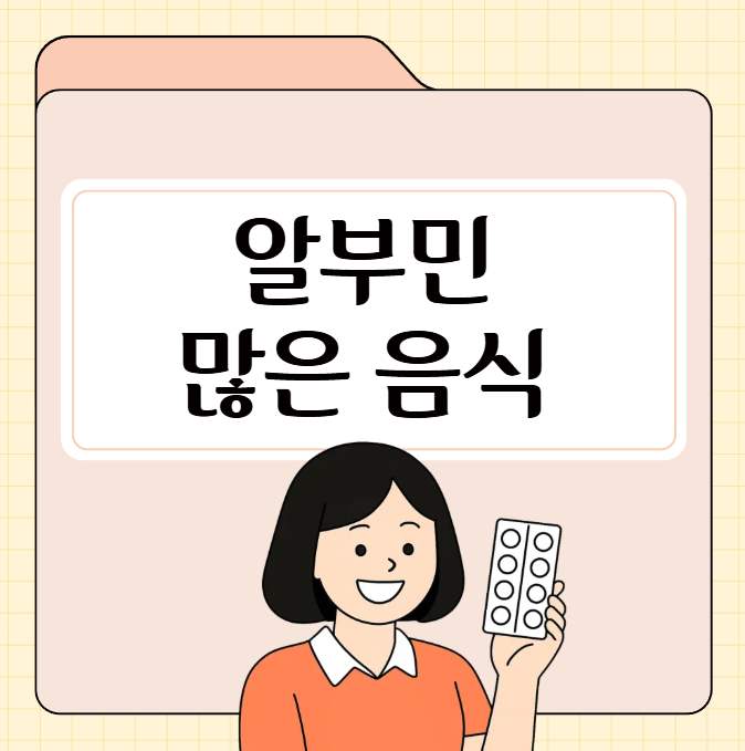 알부민-많은-음식