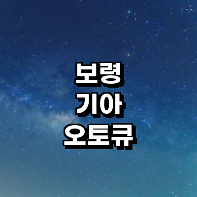 보령시 기아 오토큐