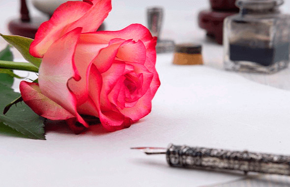 하얀 편지지 위에 진분홍색 장미꽃 한송이와 은색의 만년필이 올려져 있다.