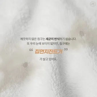 침구 진드기 햇볕 건조와 고온 살균 보관법_10