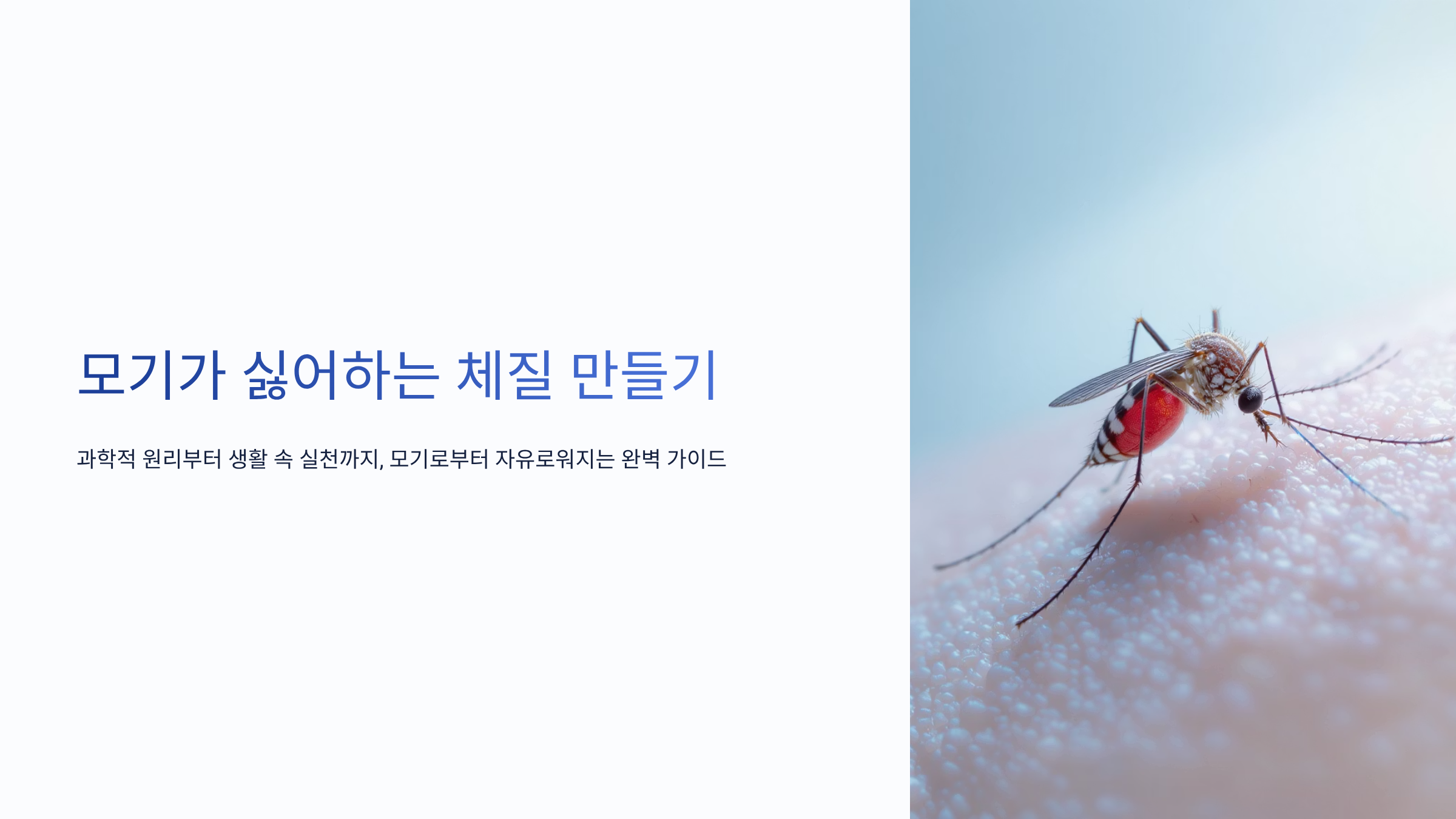 모기가 싫어하는 사람의 특징과 퇴치법 완벽정리