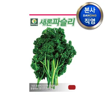 파슬리 재배 반그늘 재배 잎 따기 잦은 수확_12