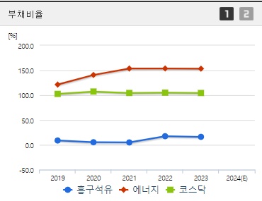 흥구석유 주가 전망 부채비율 (1004)
