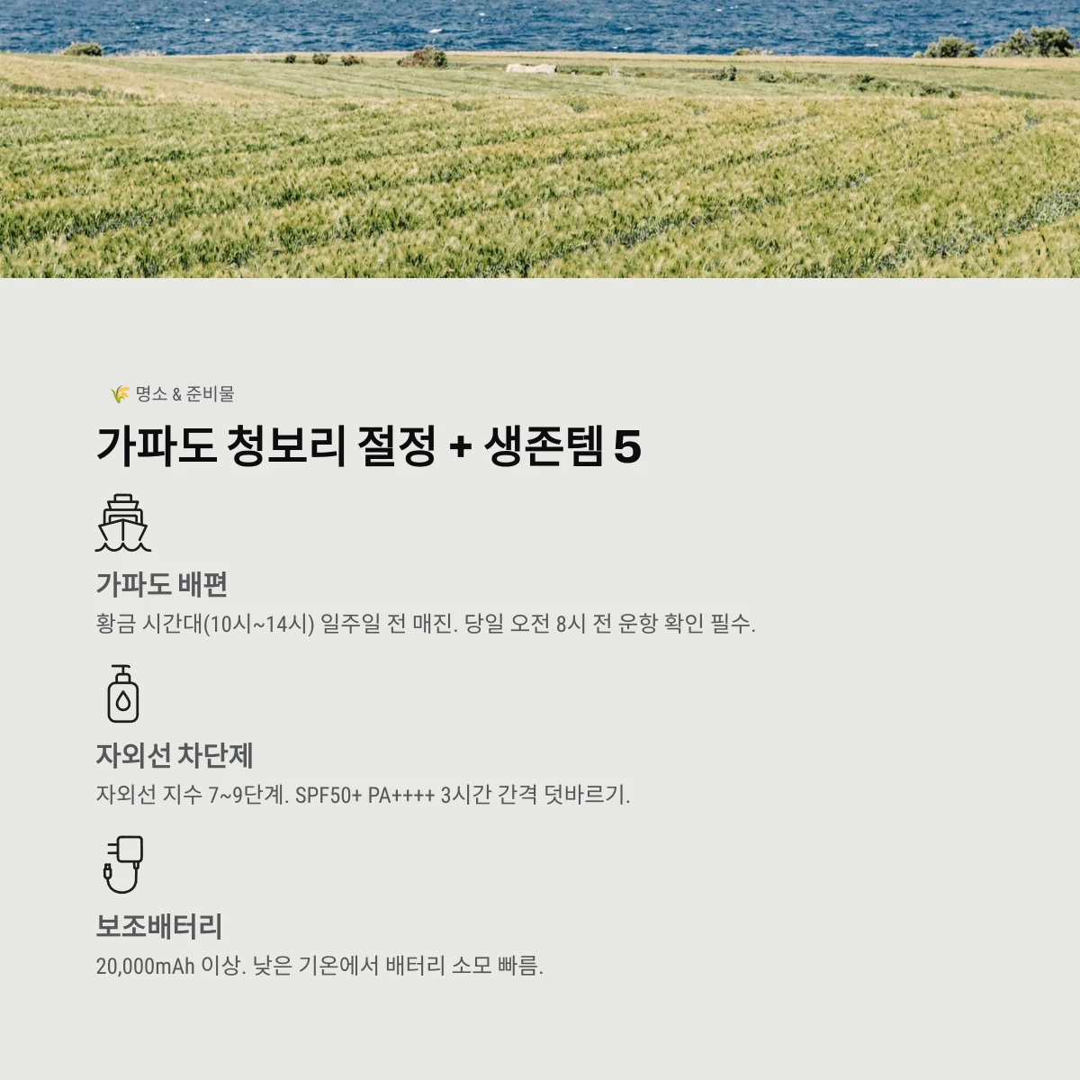 가파도 청보리 절정 + 생존템 5