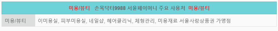 서울 페이 플러스