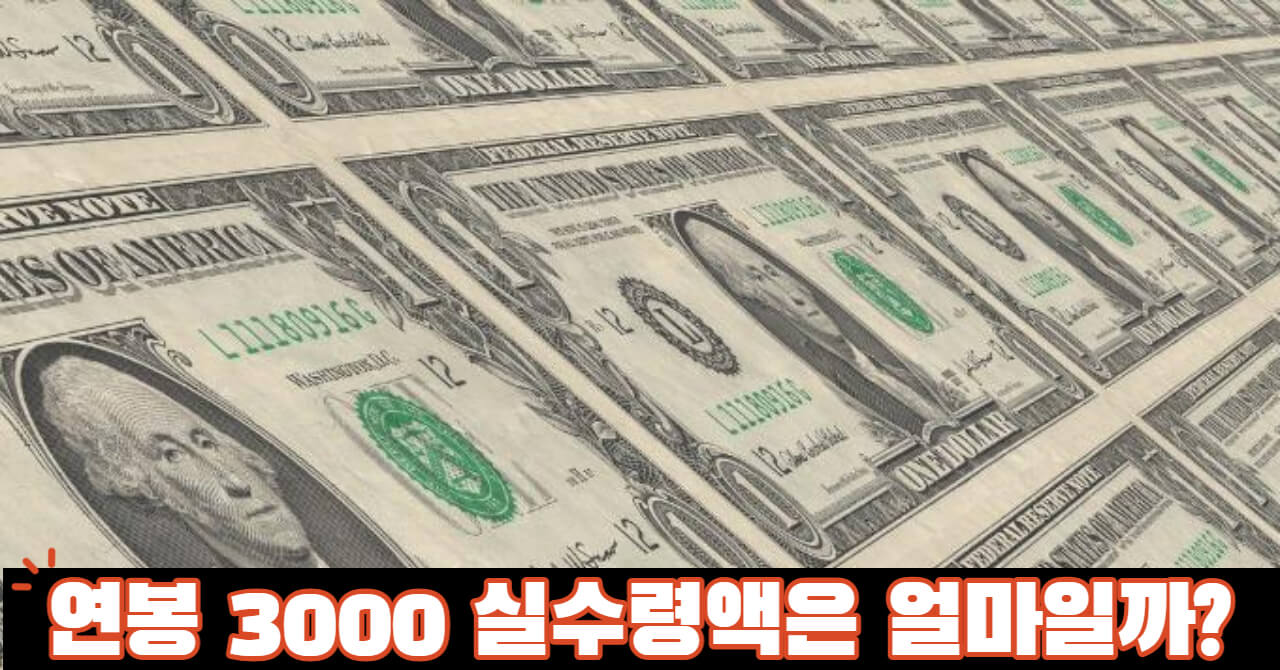 연봉 3000 실수령액 얼마일까?