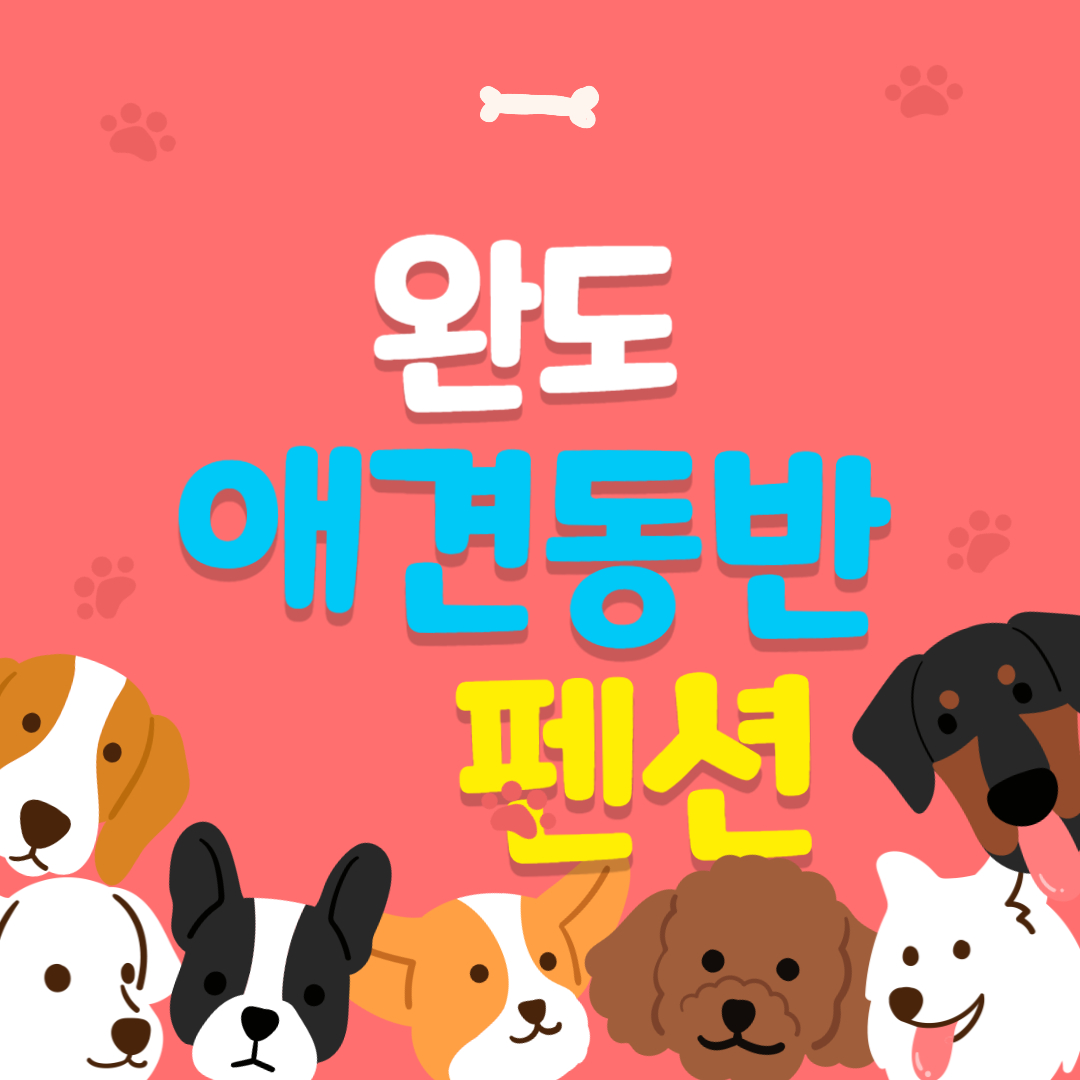 완도 애견동반 숙소