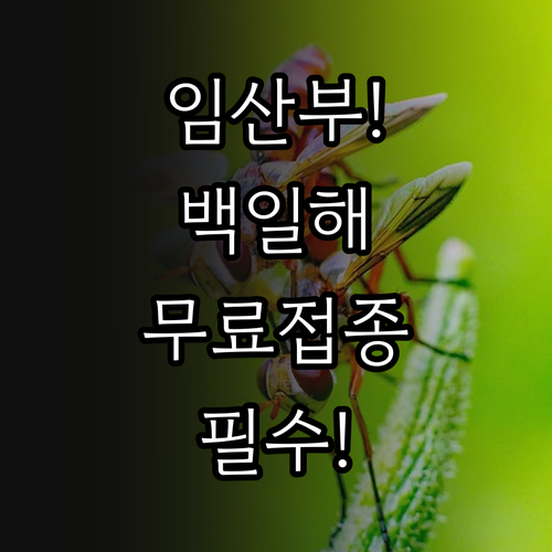 국가예방접종 지원 임산부 백일해 백신..