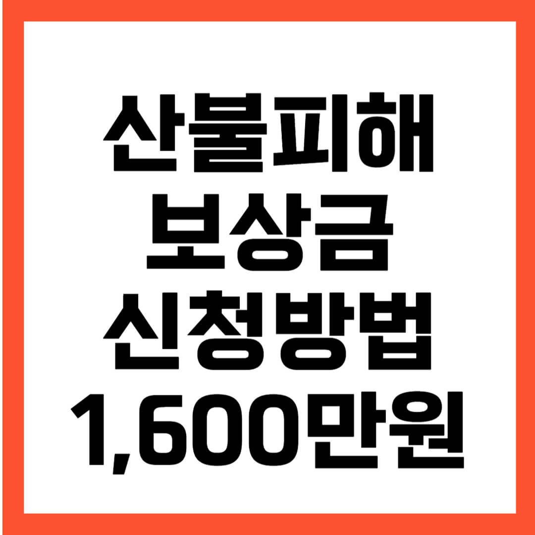 산불 피해 보상금 신청방법