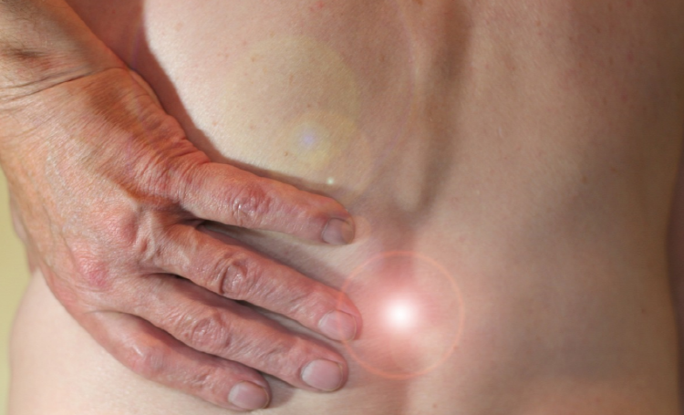 장어 효능 칼로리