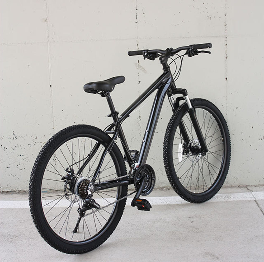 MTB 입문 추천! 지오닉스 벤 자전거 실사용 후기와 구매 가이드