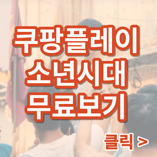 쿠팡플레이