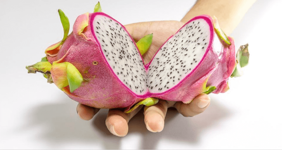 반으로 갈라진 용과를 한손으로 들고 있다