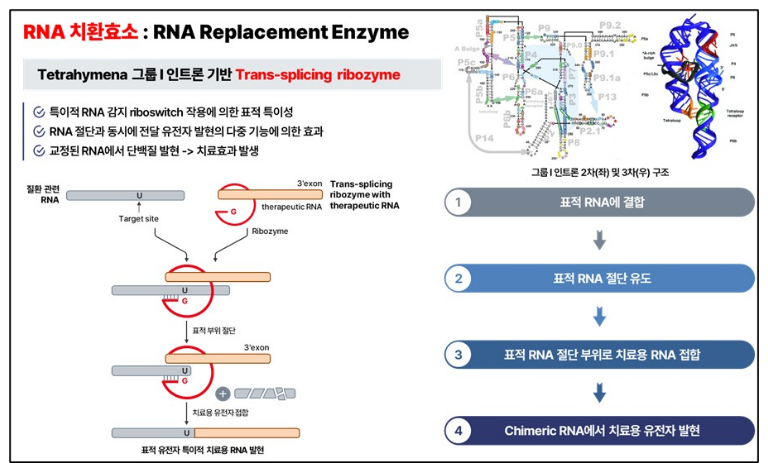 알지노믹스 공모주