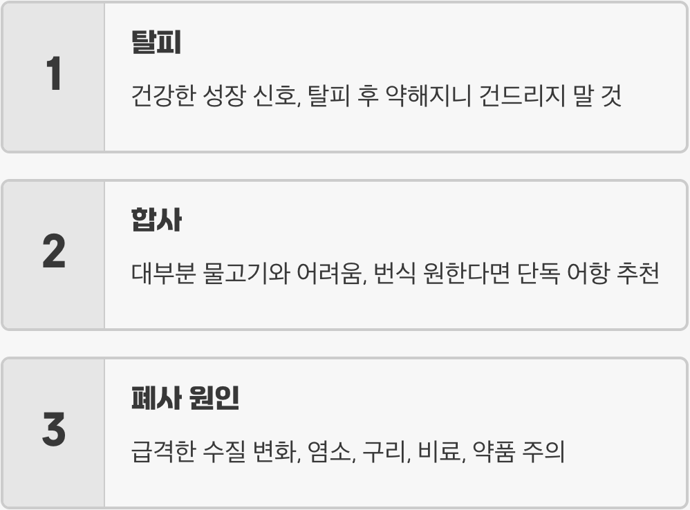 관상용새우 키우기 A to Z (어항, 먹이, 수질 관리)