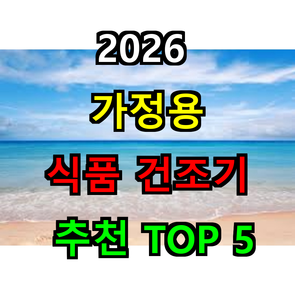 2026 가정용 식품건조기 추천 TOP 5