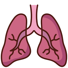 폐에 물이 차는 원인