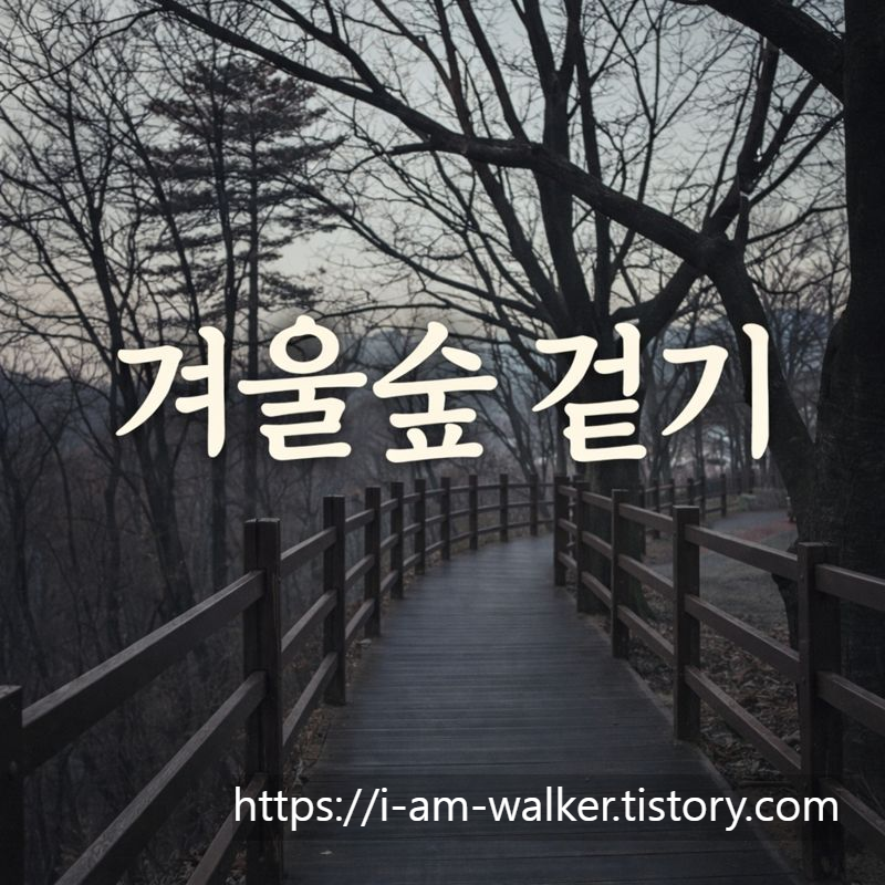 영인산자연휴양림, 영인산산책길, 아산걷기코스, 겨울산책, 데크산책로, 숲길걷기, 전망산책, 힐링코스, 가족산책, 자연휴양림