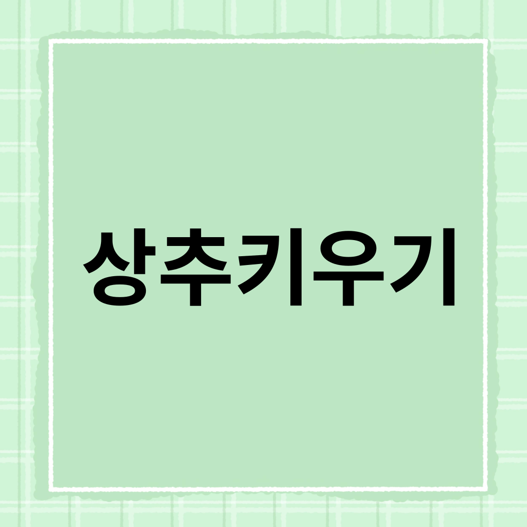 상추키우기