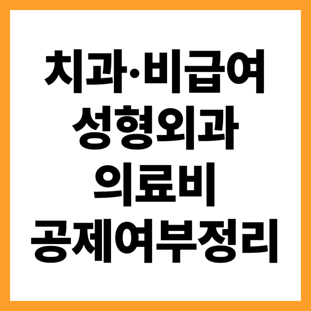 치과·비급여·성형외과 의료비, 세액공제 가능 불가 기준 총정리