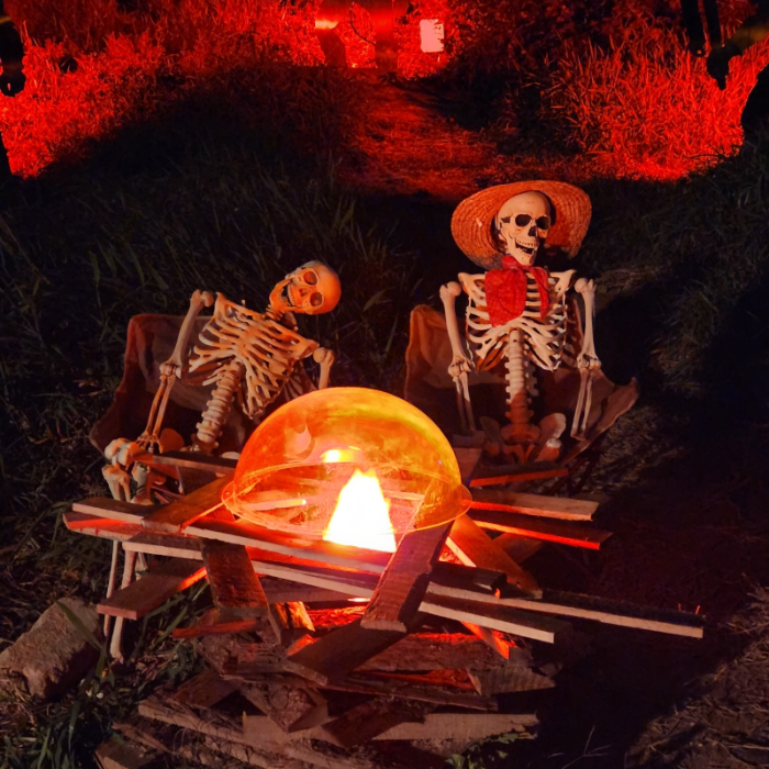 할로윈 해골